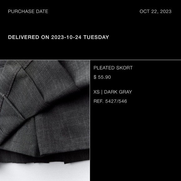 Zara Pleated Skirt - Picture 4 of 7